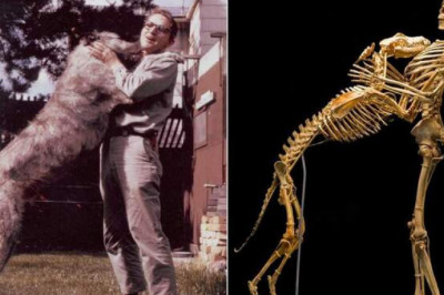 «Читаем» старую фотографию: Гровер Кранц и его пес по имени Клайд