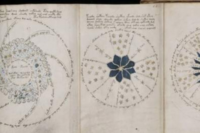 Манускрипт Войнича: что же там написано?