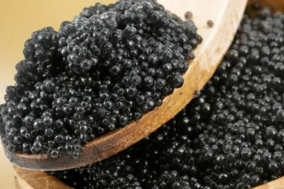 Хлеб из камыша и каша из березы: какие деликатесы ели на Руси, и почему сегодня это вряд ли кто-то решился бы попробовать