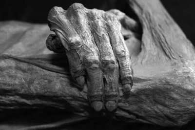 Невероятные приключения мумий нового времени