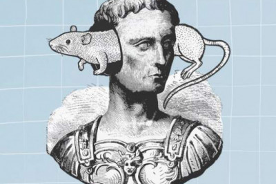 Мыши, моча и гусиный помет: 14 самых странных советов по лечению облысения в истории