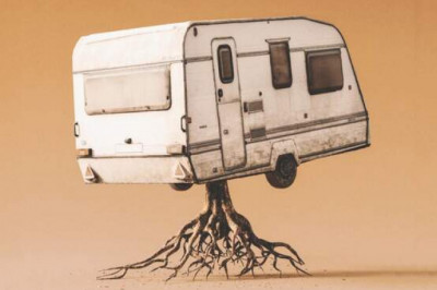 Во Франции казнили свинью, а англичане повесили обезьяну, приняв ее за француза: 7 безумных историй, в реальность которых сложно поверить