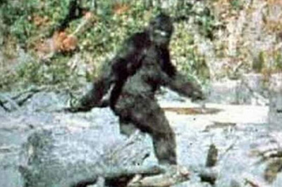 Снежный человек: американский и европейский варианты мифа