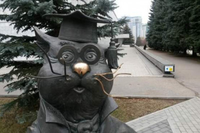 Есть ли у животных язык и мышление?