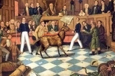 Как Фемида карала животных (ч.2)