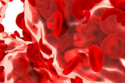 Все цвета крови