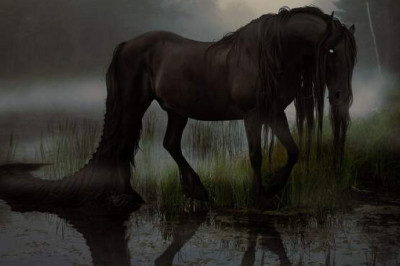 Келпи: странные монстры из мифологии Британских островов