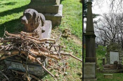 Почему люди более века приносят деревянные палки на могилу псу Рексу на кладбище в Бруклине