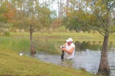 Во Флориде мужчина голыми руками раскрыл пасть аллигатору, чтобы спасти своего щенка