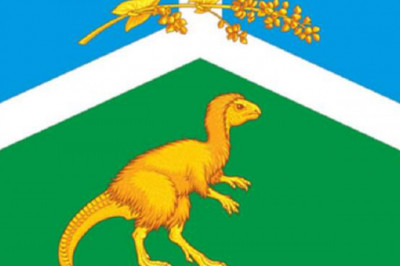 От Шуи до Среднеколымска: что обозначают гербы российских населенных пунктов, которые вызывают улыбку и недоумение