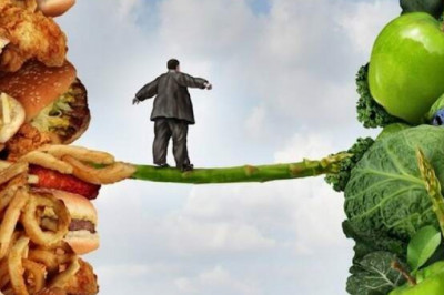 Как еда определяет нашу жизнь: от первых городов до ожирения