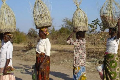 Колонизация Южной Родезии