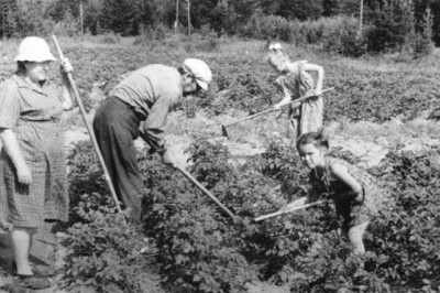 Почему в СССР под дачу выделяли строго 6 соток земли