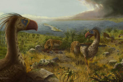 Фороракос, амфицион и др: 10 самых жутких хищников эры млекопитающих