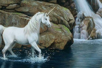 Миф о единороге: гимн целомудрию или эротическая фантазия?