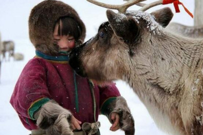 Почему оленеводы Севера все еще носят неудобную одежду из шкур вместо современных пуховиков