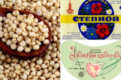 Сыр в тюбиках, газировка «Аленький цветочек» и др: 11 популярных продуктов советской эпохи, которые остались в памяти