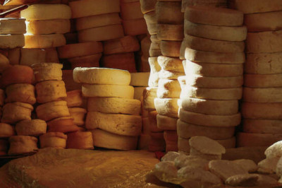 Тысячелетняя выдержка: насколько древнюю еду и напитки находили археологи