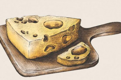 Кроме мяса и рыбы: 15 продуктов с высоким содержанием белка