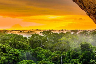 Какие тайны раскрыли космические деревни, обнаруженные археологами в джунглях Амазонки