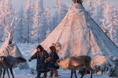 Не просто шалаш: во сколько оленеводам обходится чум и как много им требуется шкур