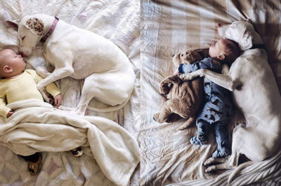 Собаки и дети: 18 милейших фотографий, которые доказывают, что ребенку просто необходим лающий друг