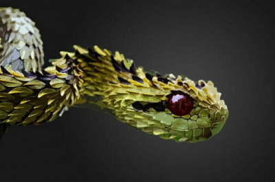 Водятся ли на Кавказе «волосатые змеи», или Загадка «ц-бля»