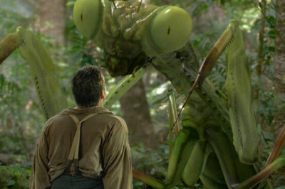 «Библейская чума» и восстание саранчи: 5 самых жутких нашествий насекомых в истории