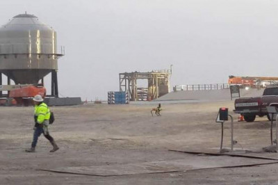 В США робопес Boston Dynamics идет осматривать обломки космического корабля Space X