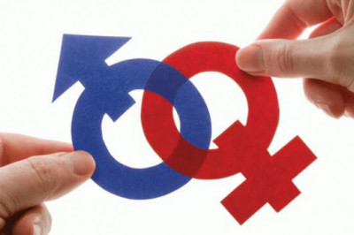 Гендерное разнообразие и загадки эволюции: как природа решает, кому быть мальчиком, а кому девочкой?