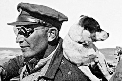 Падди Мэйн: самый безбашенный ирландец ХХ века