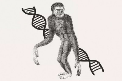Жуткие вещи, которые скрываются в ДНК