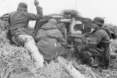 Западноевропейские добровольцы в «СС»