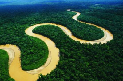 Что такое поророка и почему через Амазонку до сих пор не построили ни одного моста