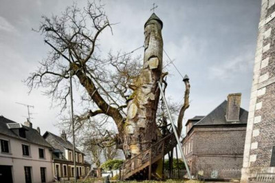 Алувильский дуб-часовня