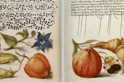 Mira calligraphiae monumenta: самая красивая рукописная книга