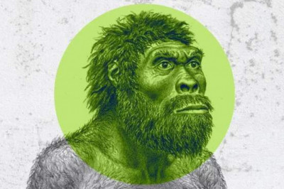 Искусство было присуще не только Homo sapiens: 7 важных археологических открытий, сделанных за последние десять лет