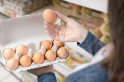 Размер имеет значение: какая категория яиц лучше и чем они отличаются?