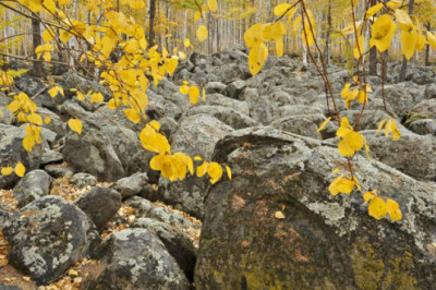 Невероятный мир курумов: окаменевшие моря