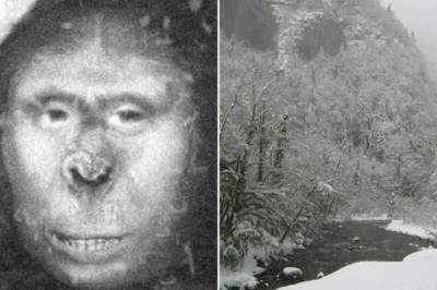 Что известно о снежной женщине «Зана», которая родила детей в деревушке Абхазии