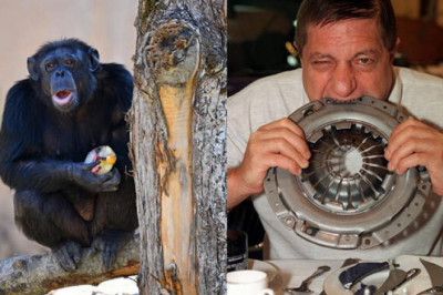 Талант или слепая удача: 10 самых странных мировых рекордов Гиннеса