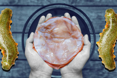 Грибная колония, кровавая конфета и др: советские суперфуды