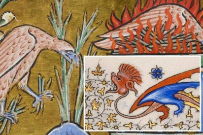 Как художники Средневековья рисовали животных: тайные символы в иллюстрированных рукописях и манускриптах