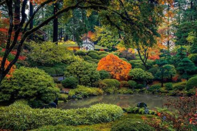 Панорамная фотография: окружающий мир во всех подробностях