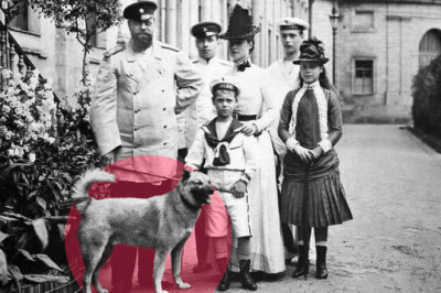 Животные голубых кровей: 7 любимых питомцев русских царей