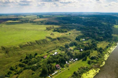 За грибами с глазами: неочевидные маршруты Рязани