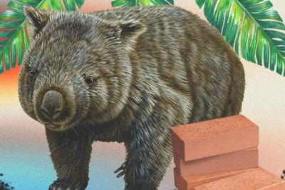 Почему у вомбатов квадратные какашки и другие научные загадки, которые имели слишком простое решение